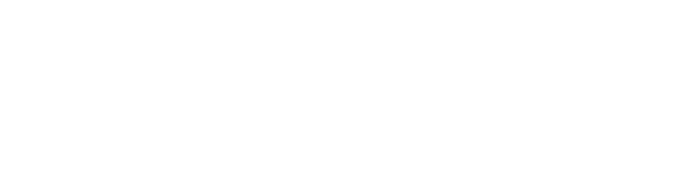 Full Bloom Memory Care